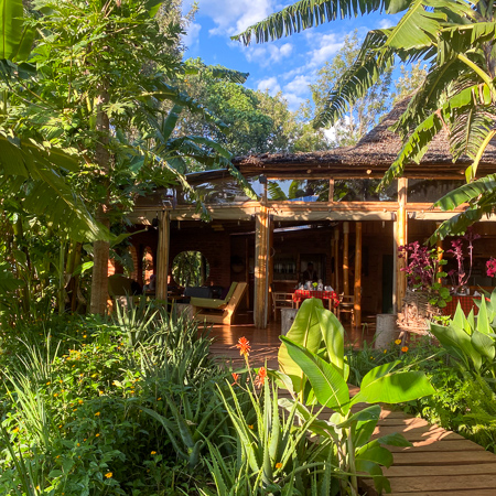 foresight eco lodge - safari stride