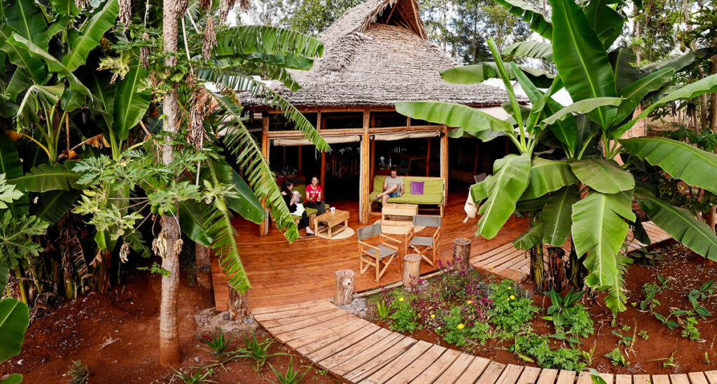 foresight eco lodge - safari stride