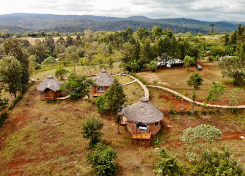 Foresight Eco Lodge Karatu: The Complete 2026 Traveler’s Guide