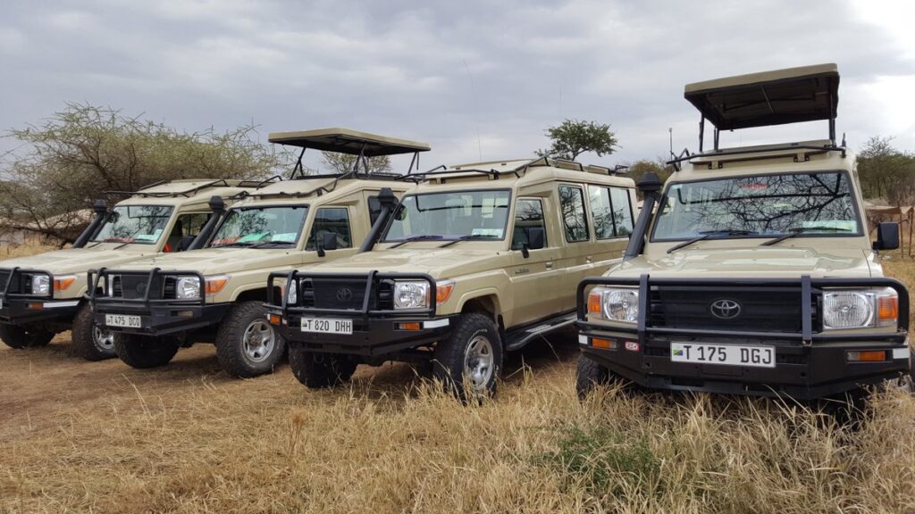serengeti tanzania from usa