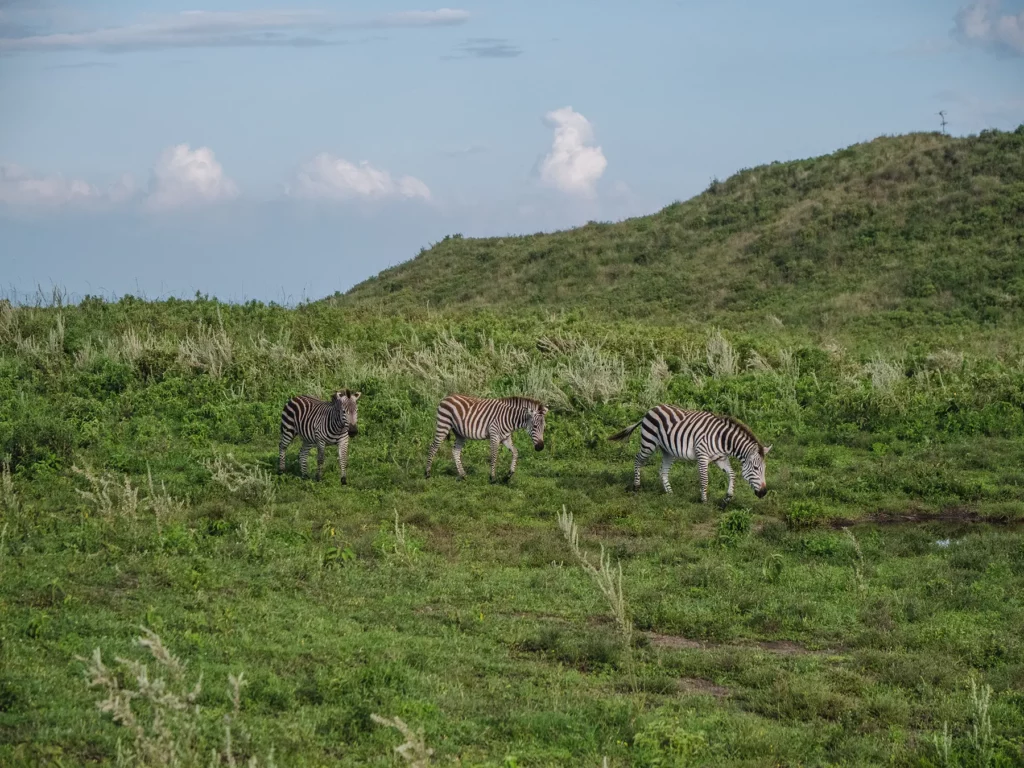 arusha national park
