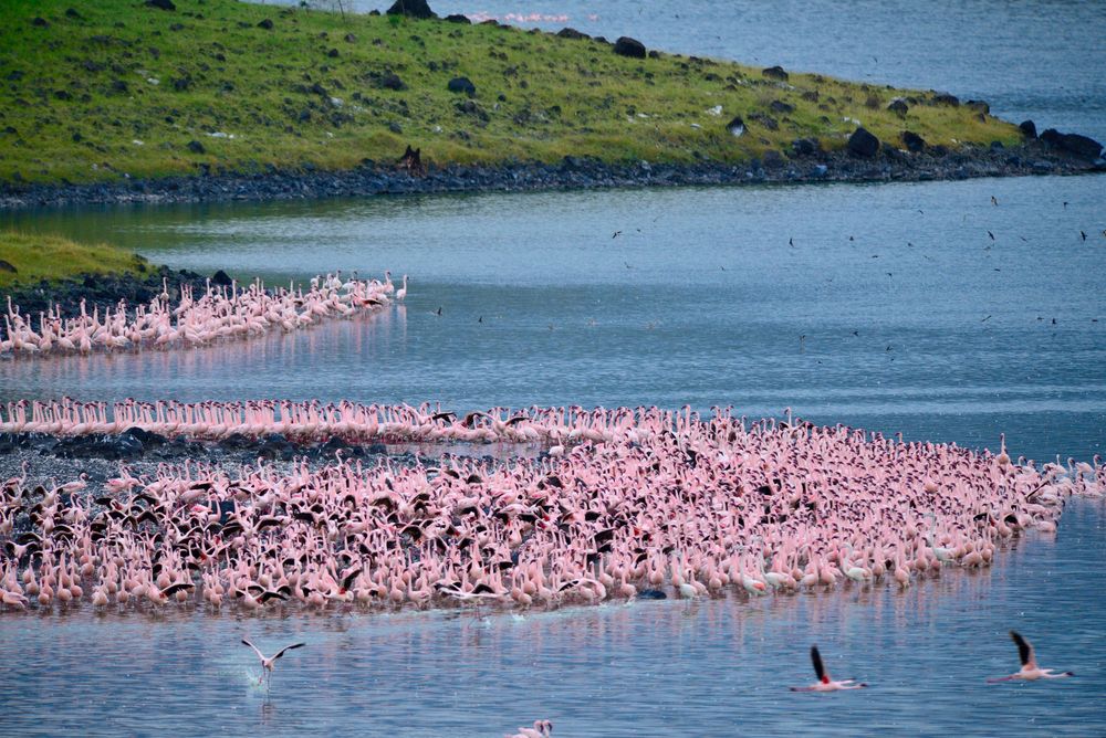 Arusha National Park