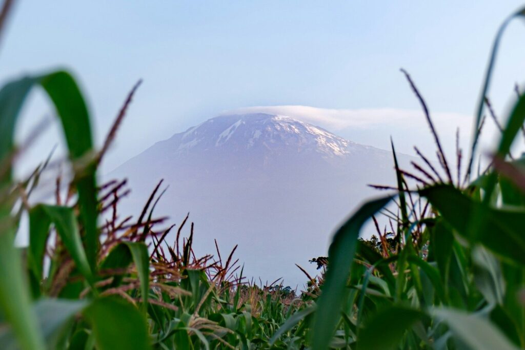 Arusha National Park